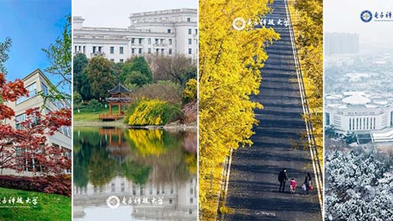 电子加工定制：揭秘其流程与关键要点